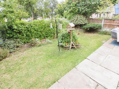 Picture 20